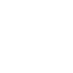 Metacerius