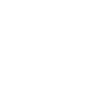 Metacerius